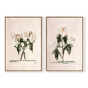Pink Botanical Pair by Cady Karras