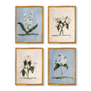 Pink & Blue Botanical Set of 4 by Cady Karras