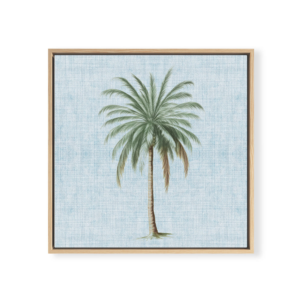 Coastal Palm No. 1 Square