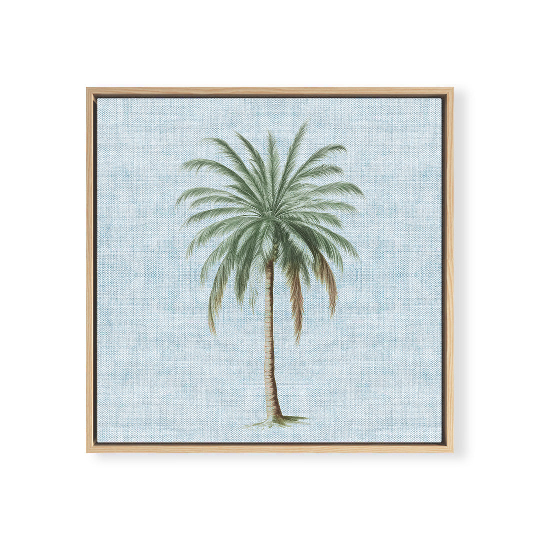 Coastal Palm No. 1 Square