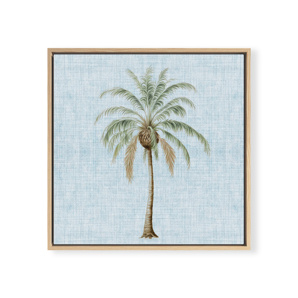 Coastal Palm No. 2 Square