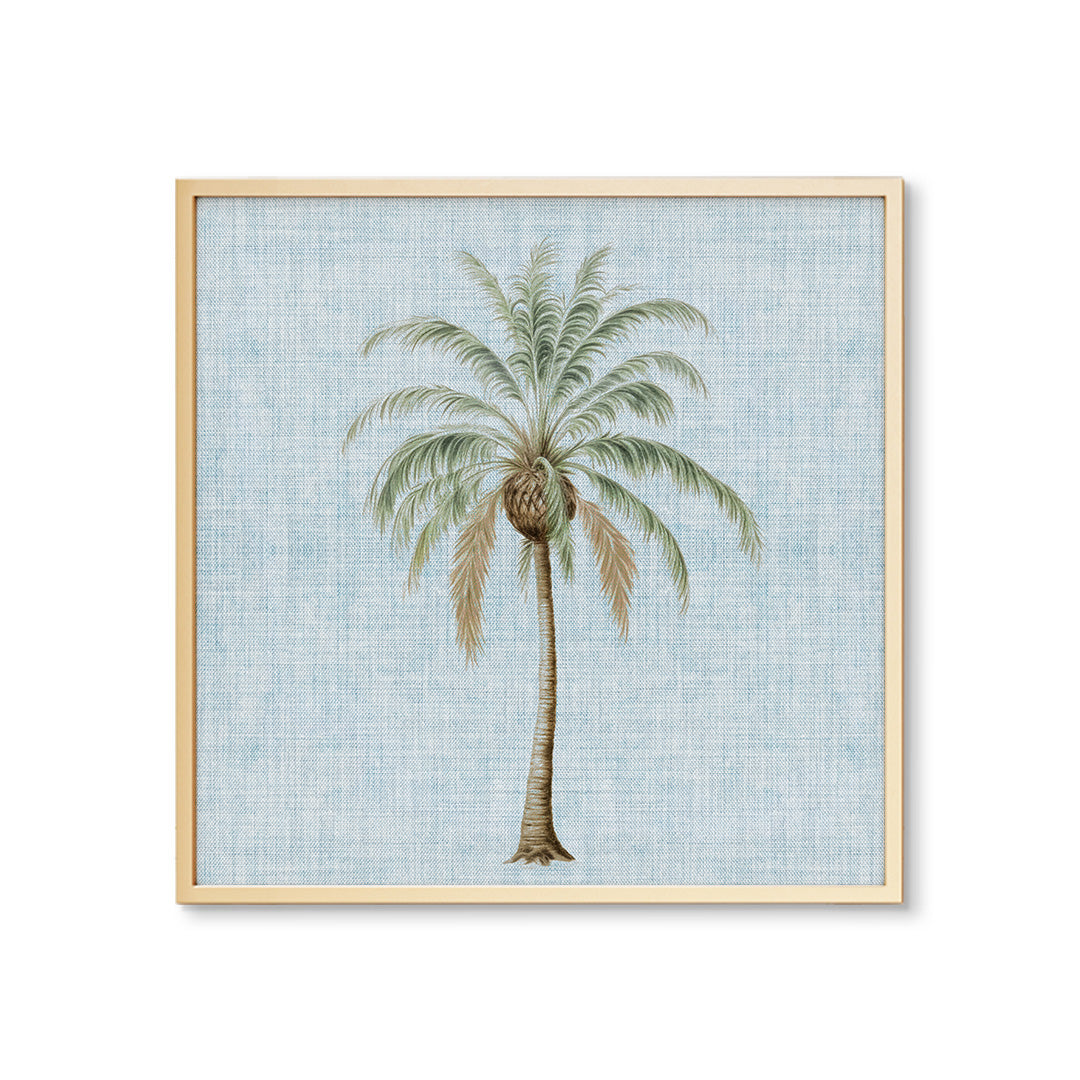 Coastal Palm No. 2 Square