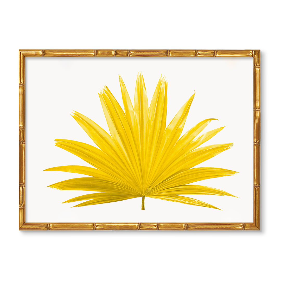 Palm Frond Botanical Artwork – Urban Garden Prints