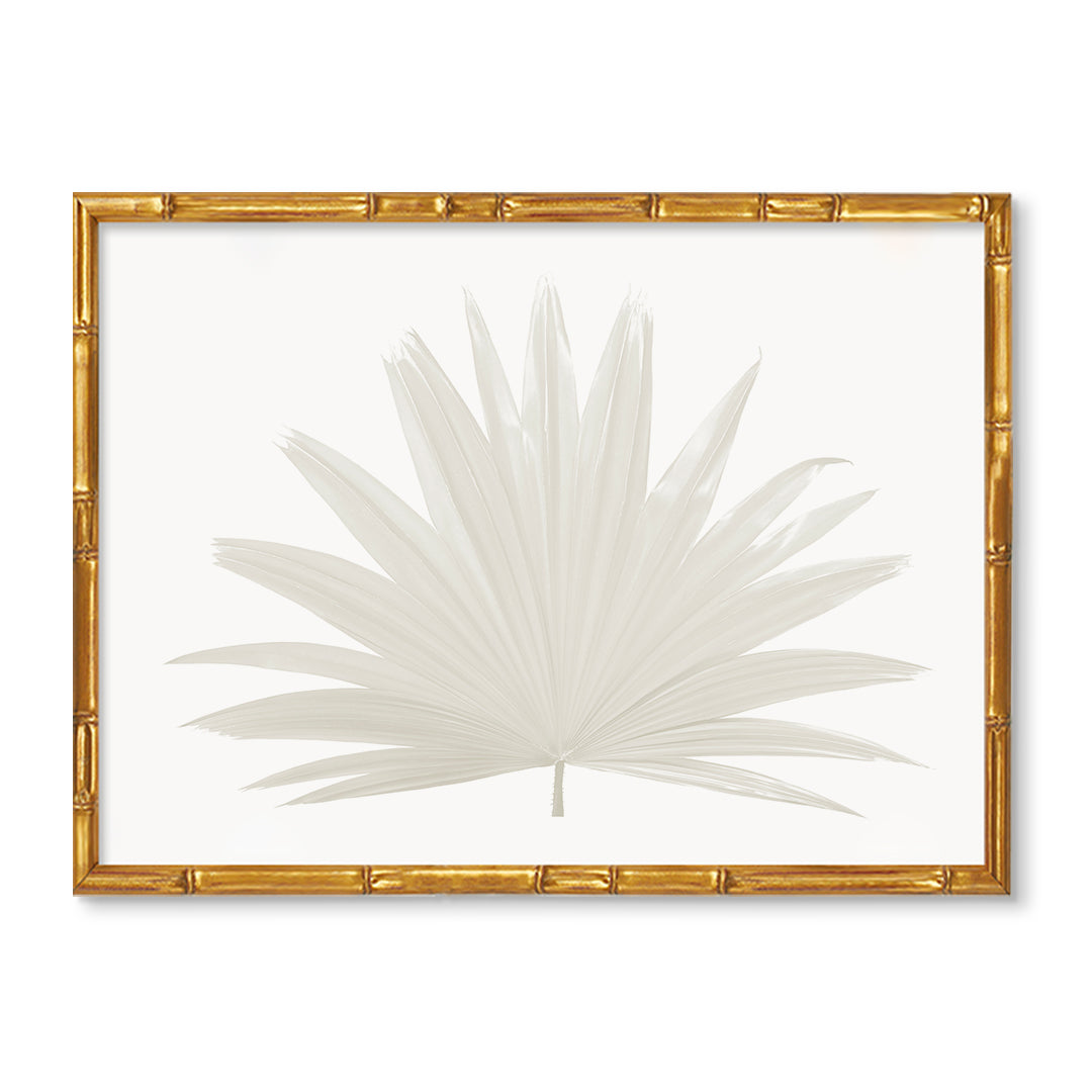 Palm Frond Botanical Artwork – Urban Garden Prints