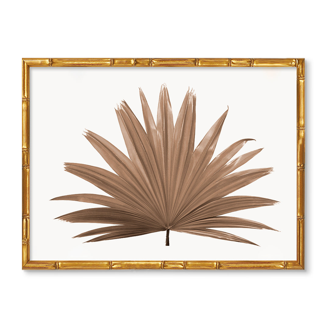 Palm Frond Botanical Artwork – Urban Garden Prints