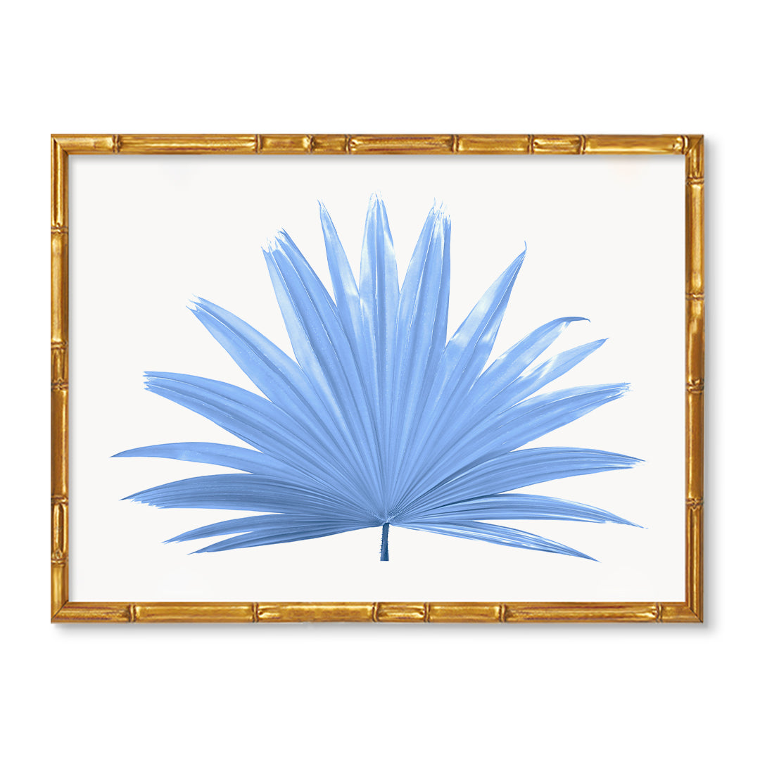 Palm Frond Botanical Artwork – Urban Garden Prints