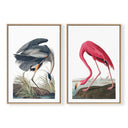 Vintage Flamingo & Great Blue Heron Pair