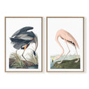 Vintage Flamingo & Great Blue Heron Pair