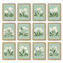 Freshly Picked Set of 12 by Haley Knighten