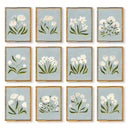 Freshly Picked Set of 12 by Haley Knighten