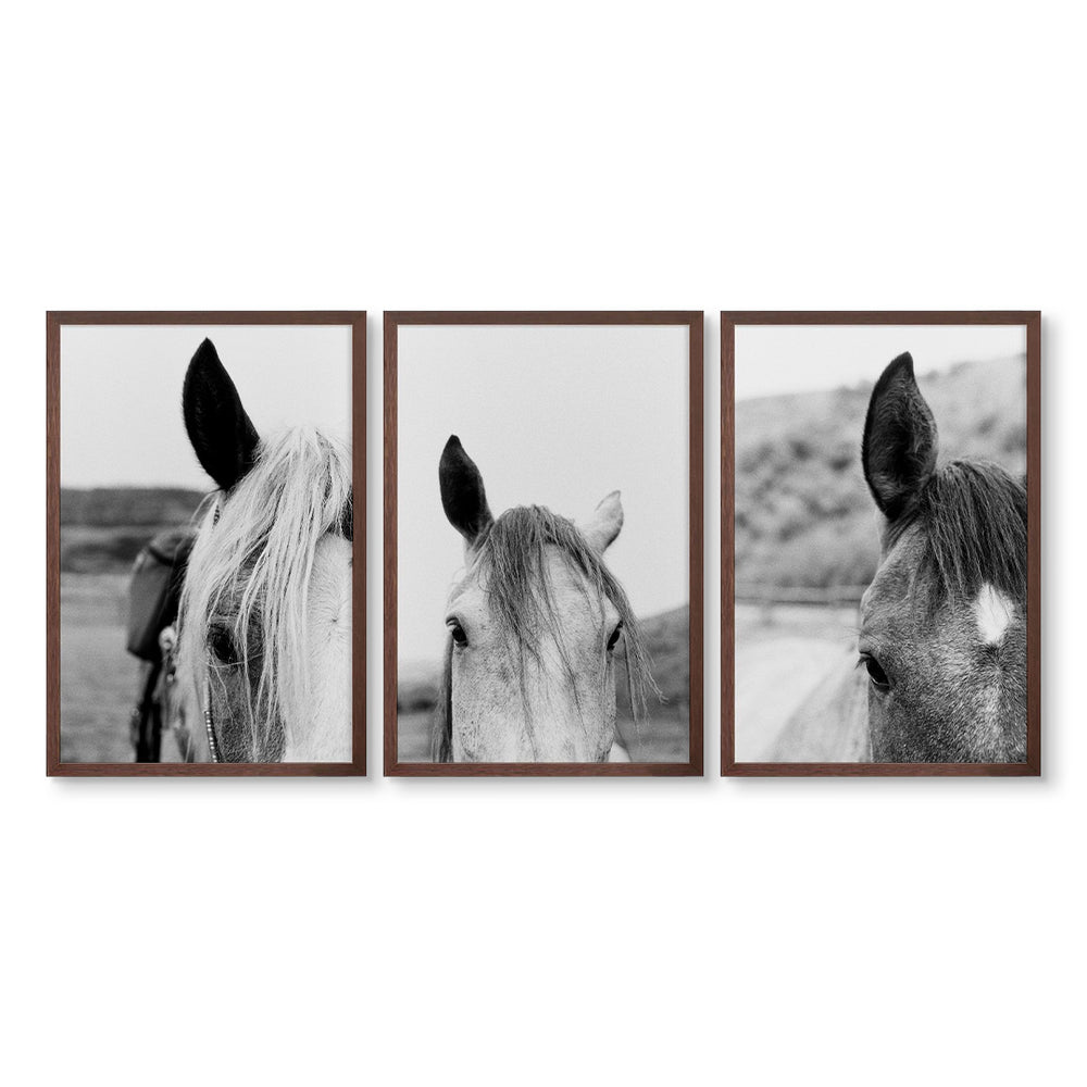 Horse Trio by Mary Craven Dawkins