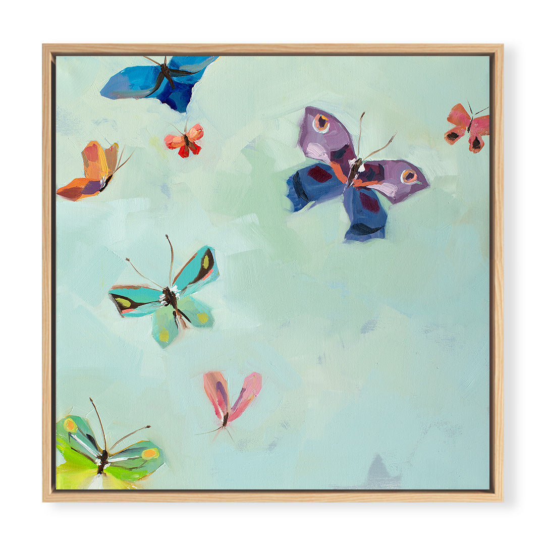 Butterflies by Jenny Westenhofer