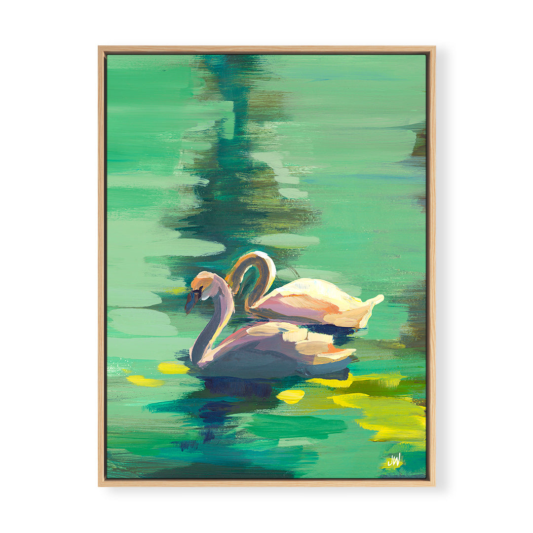 Swans by Jenny Westenhofer