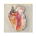 Queen Conch by Jenny Westenhofer