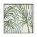 Seahaven Palm Square by Kelly Whibbs
