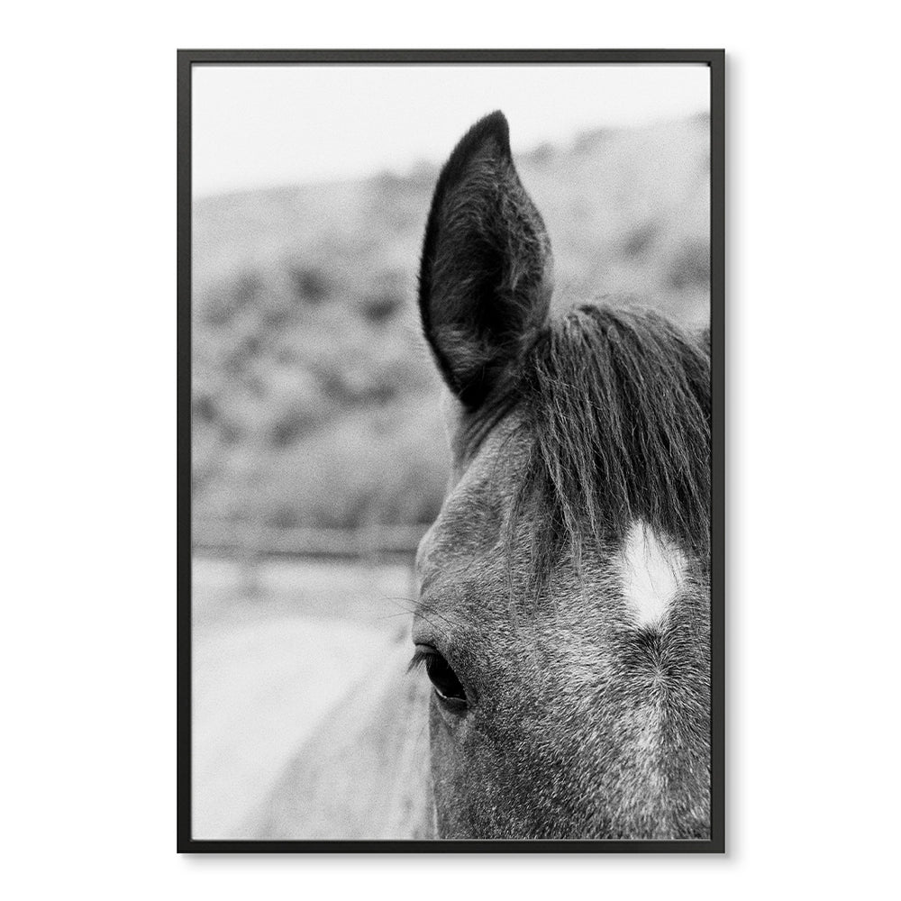 Horse II by Mary Craven Dawkins