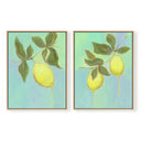 Limone Pair by Haley Knighten