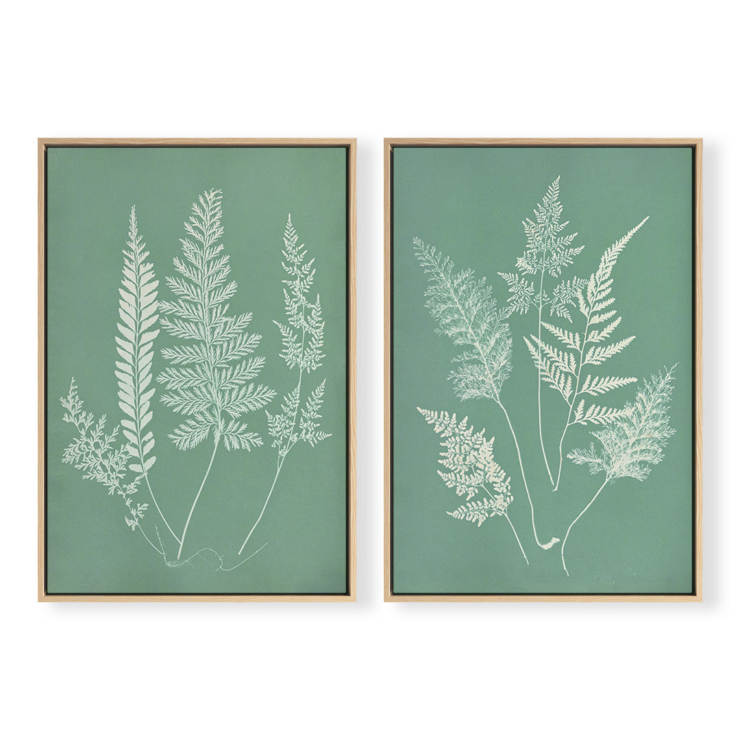 Hued Fern Pair