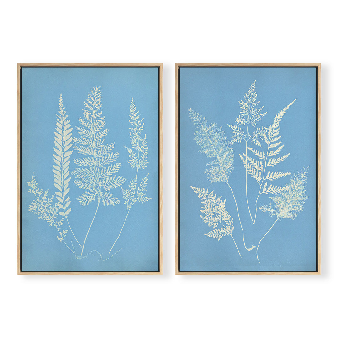 Hued Fern Pair