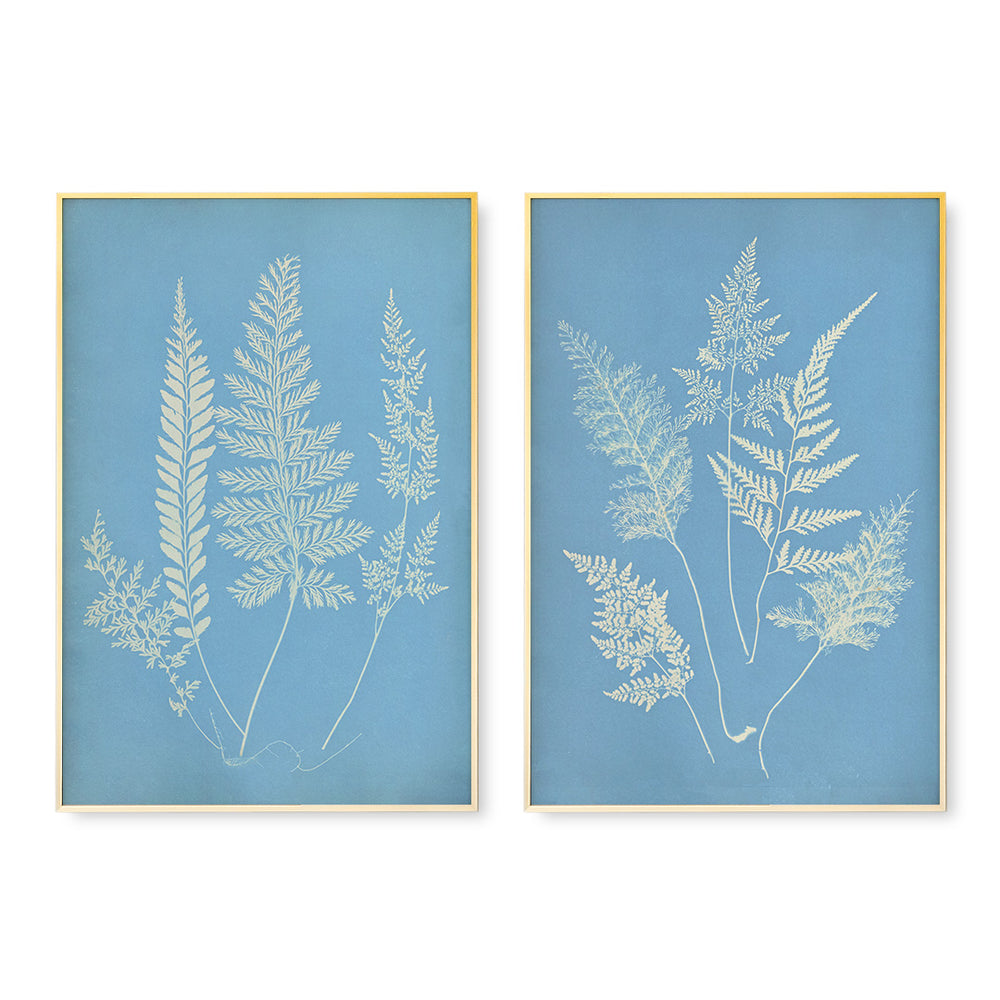 Hued Fern Pair