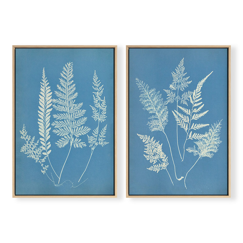 Hued Fern Pair