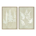 Hued Vintage Fern Pair