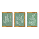 Hued Vintage Fern Trio