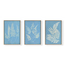 Hued Vintage Fern Trio