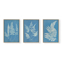 Hued Vintage Fern Trio