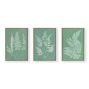 Hued Vintage Fern Trio