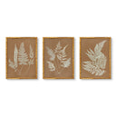 Hued Vintage Fern Trio