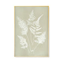 Hued Vintage Fern Single