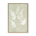 Hued Vintage Fern Single