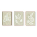 Hued Vintage Fern Trio