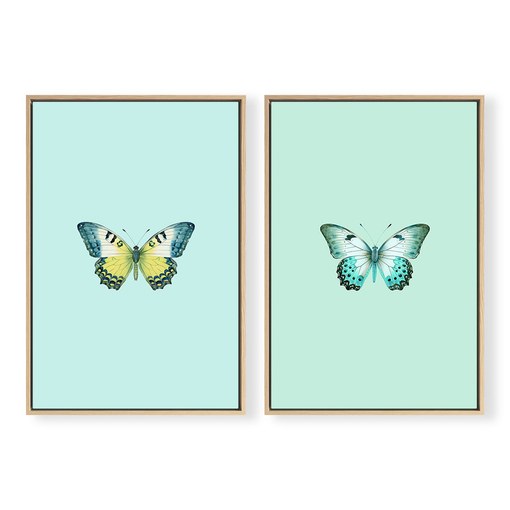 Joie du Papillon Pair Bleu