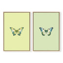 Joie du Papillon Pair Vert