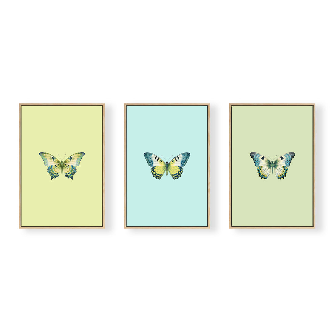 Joie du Papillon Trio