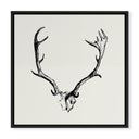 Mounted Antlers