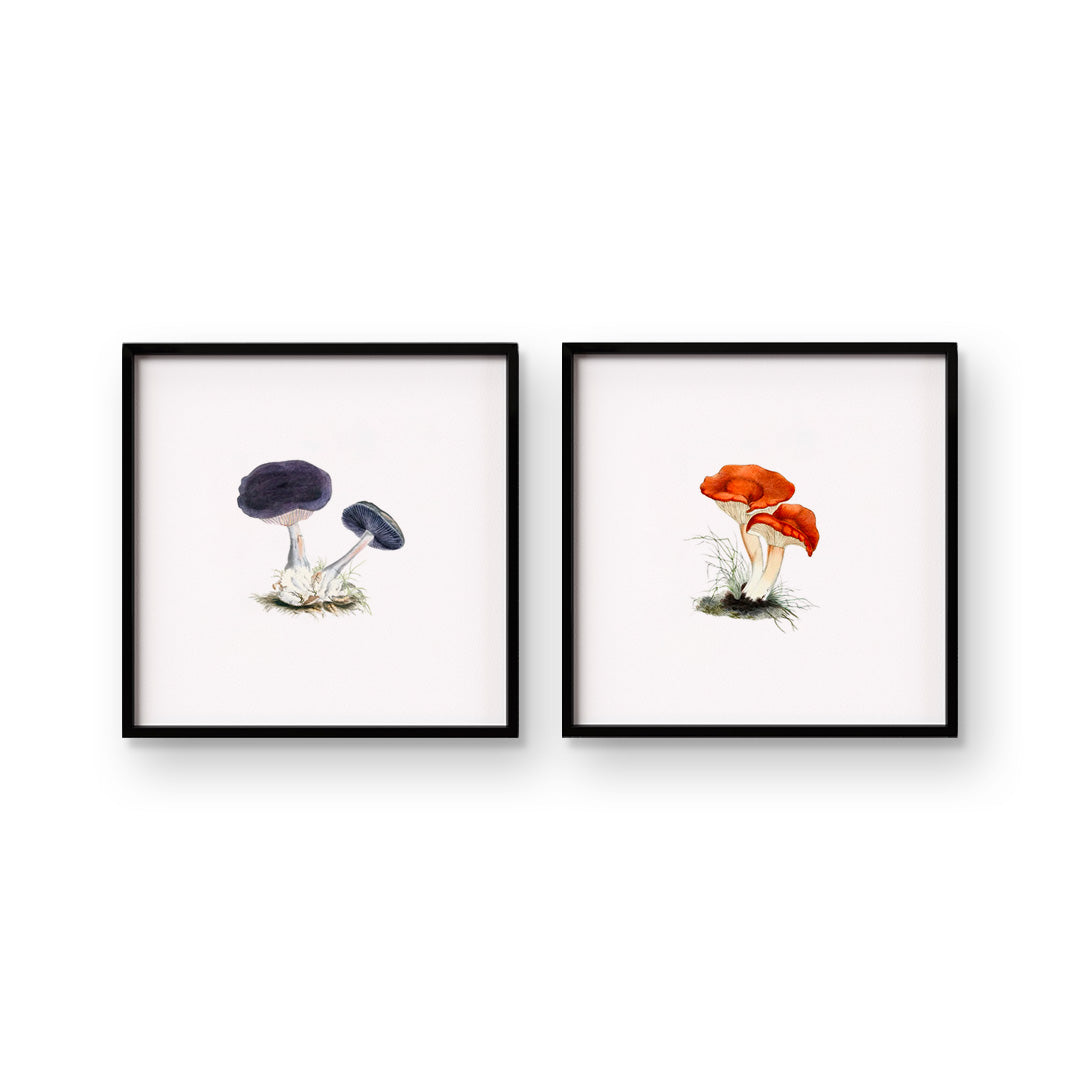 Vintage Mushroom Pair of Art Prints | Customizable Wall Art – Urban ...