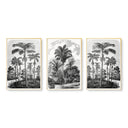 Vintage Tropical Oasis Trio