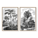 Vintage Tropical Oasis Pair