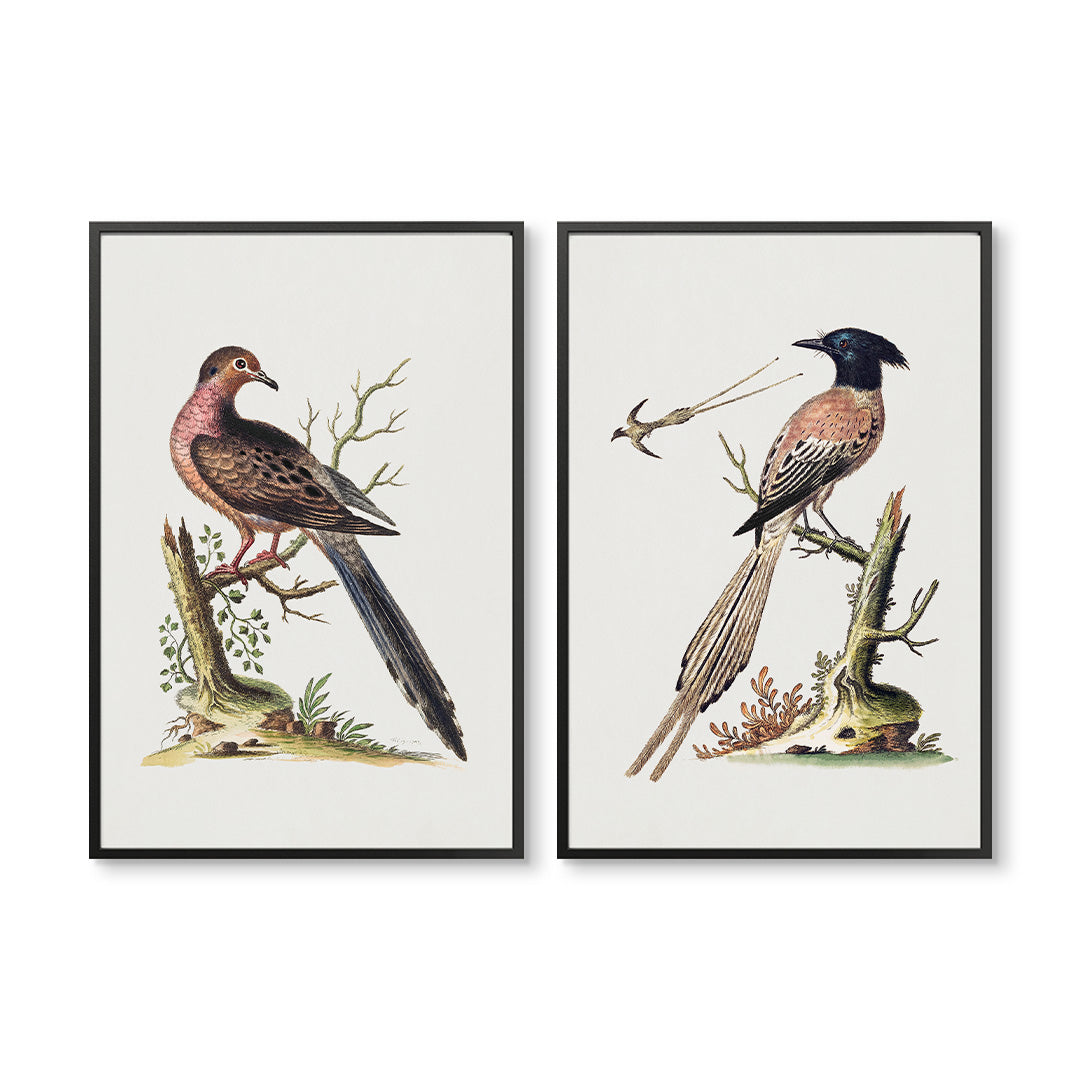 Vintage Birds on a Branch Pair
