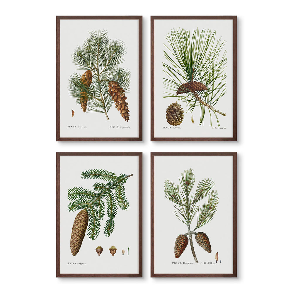 Pines Set of 4