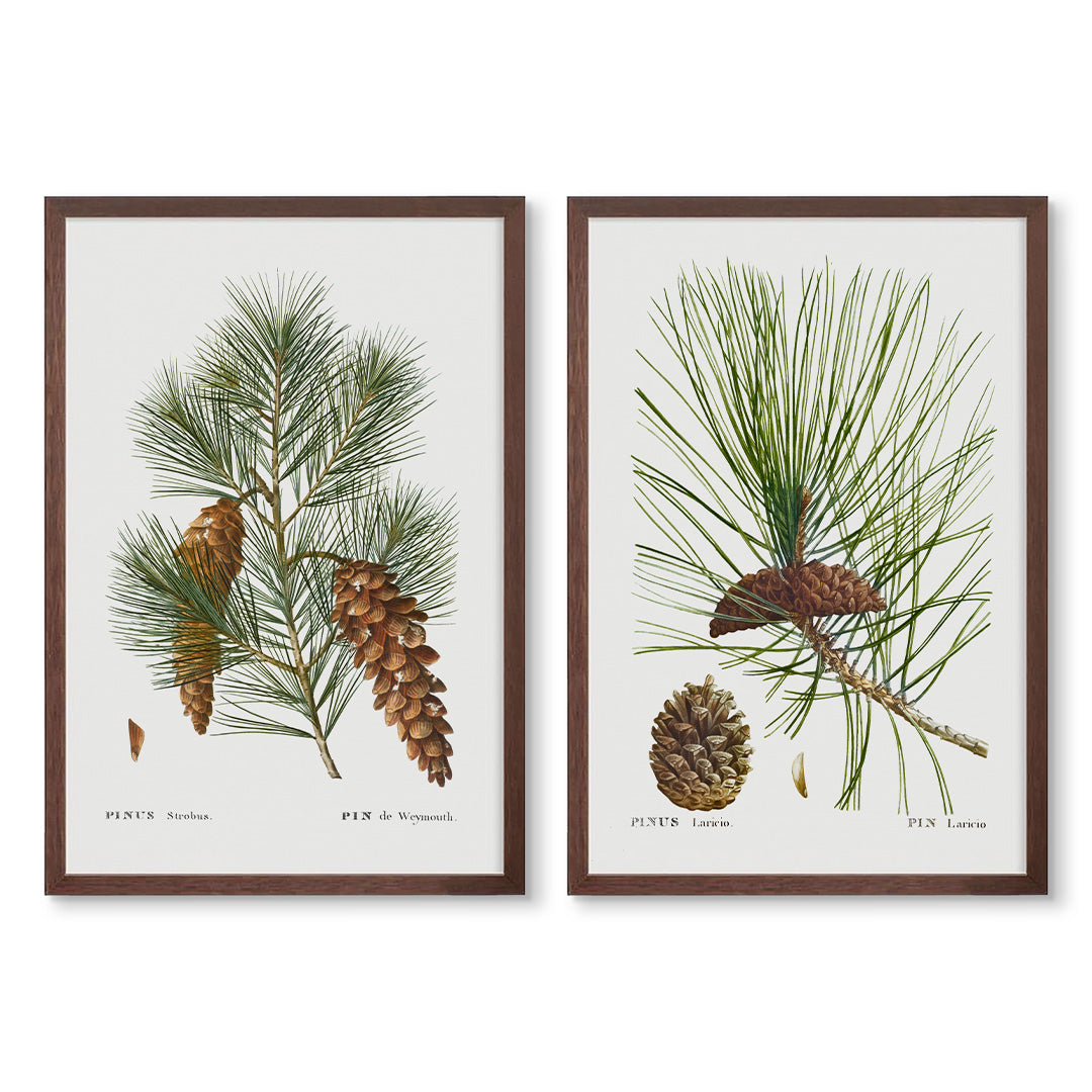 Pines Pair | High Quality Art Prints – Urban Garden Prints