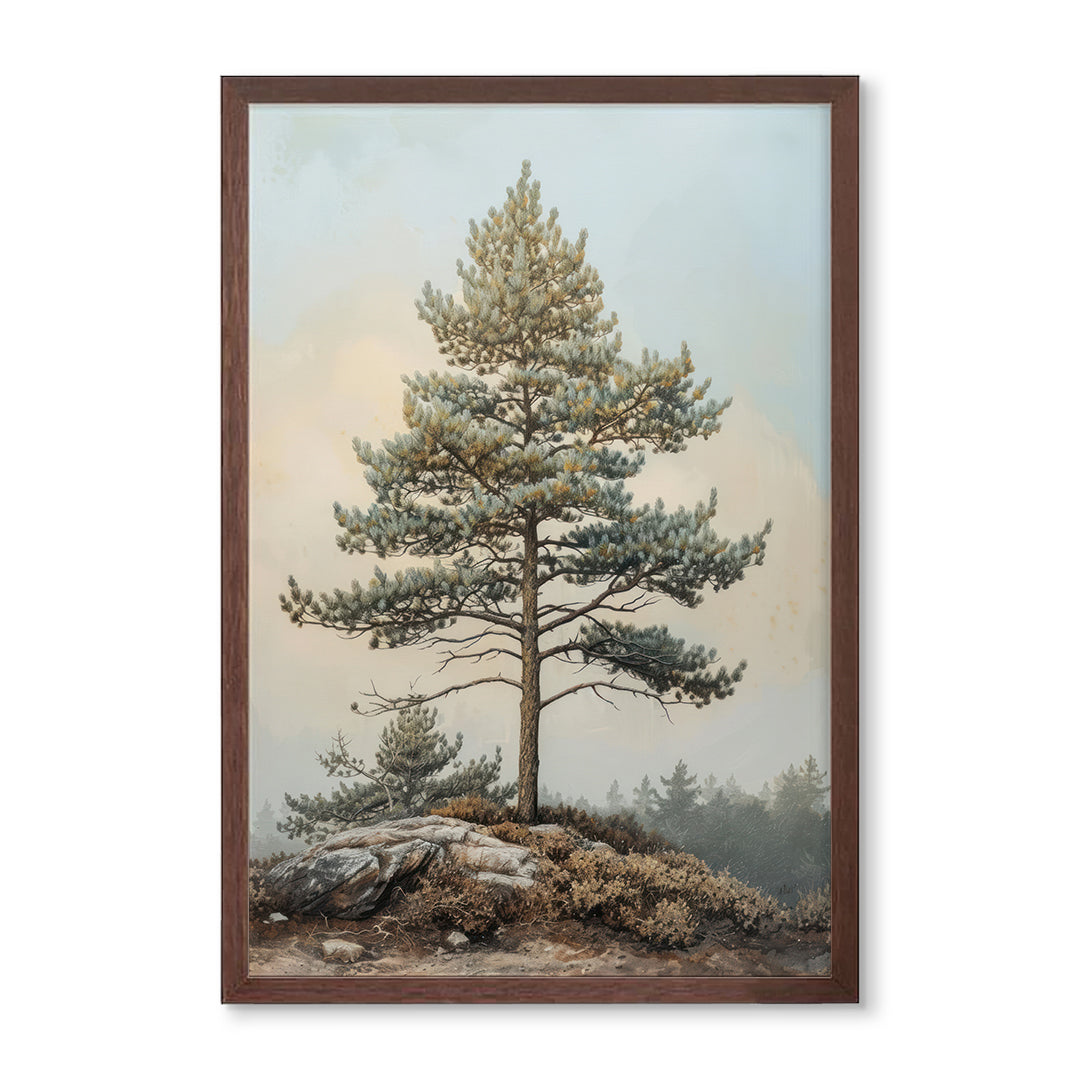 Hilltop Evergreen I