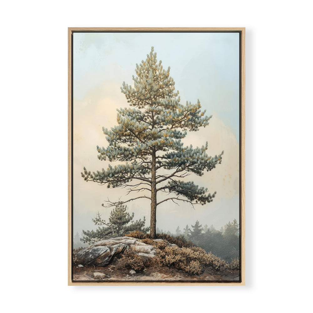 Hilltop Evergreen I