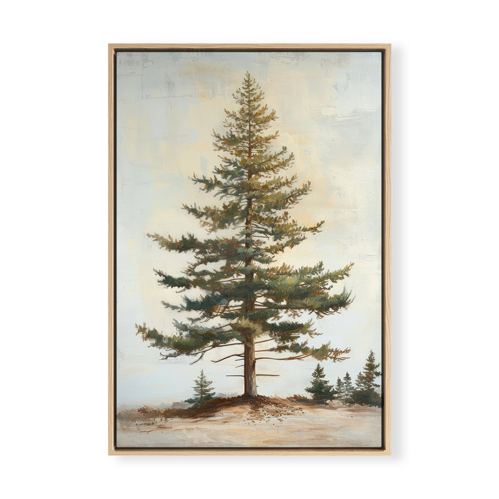 Hilltop Evergreen II