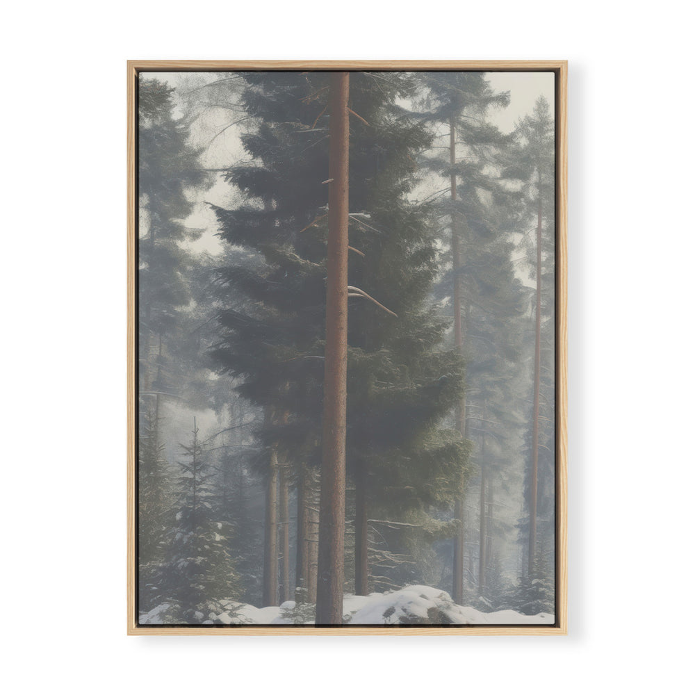 Snow Dusted Forest Vertical