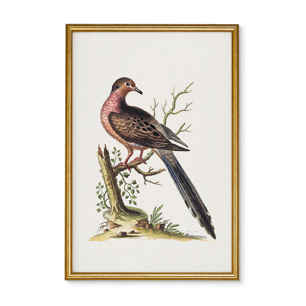 Copy of Vintage Birds on a Branch No. 2