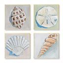 Shell Set of 4 by The Painted Katie